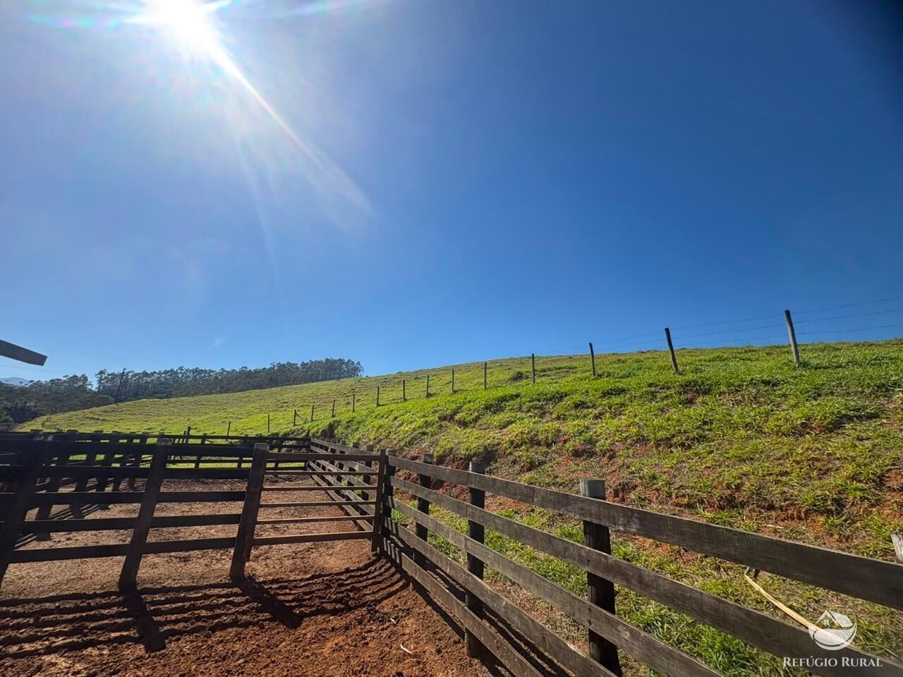 Fazenda, 165 hectares - Foto 43