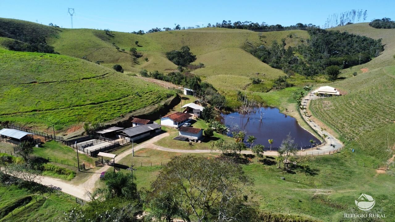 Fazenda, 165 hectares - Foto 21
