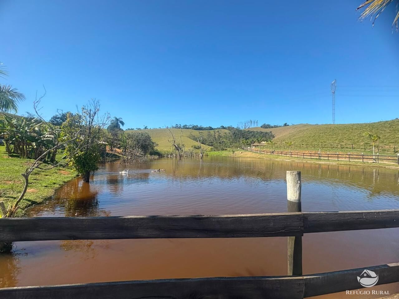 Fazenda, 165 hectares - Foto 38