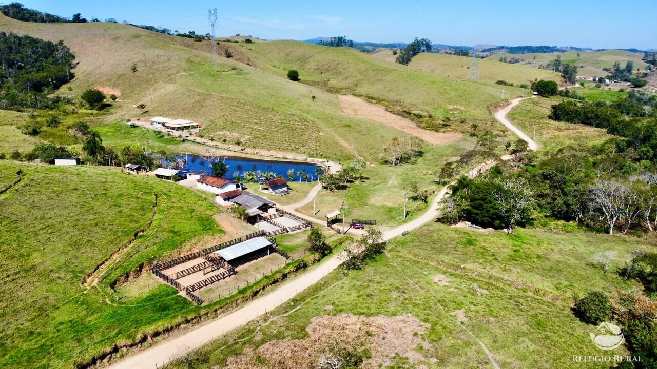 Fazenda, 165 hectares - Foto 11