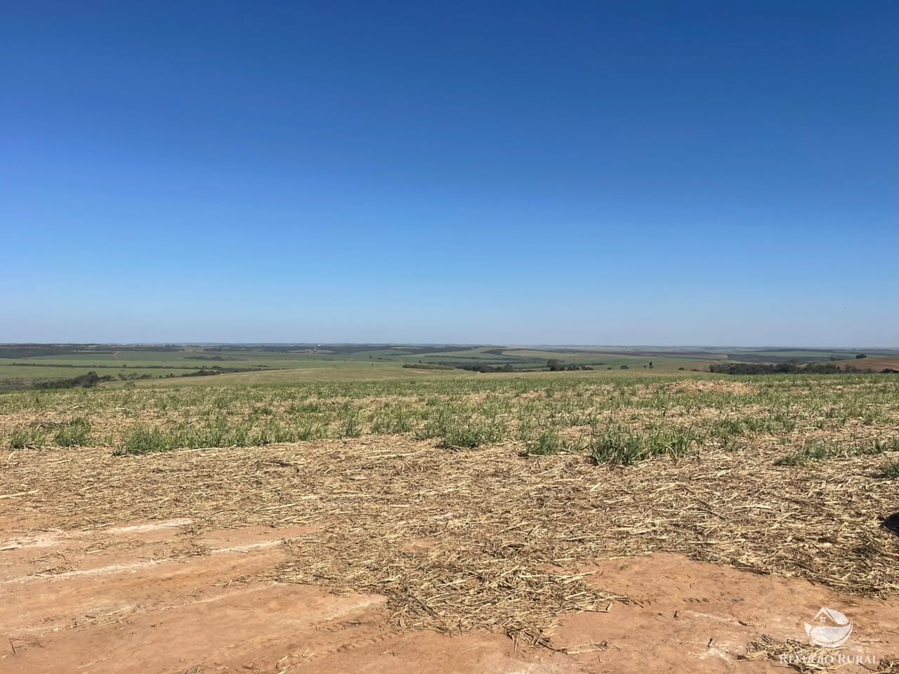 Fazenda, 447 hectares - Foto 8