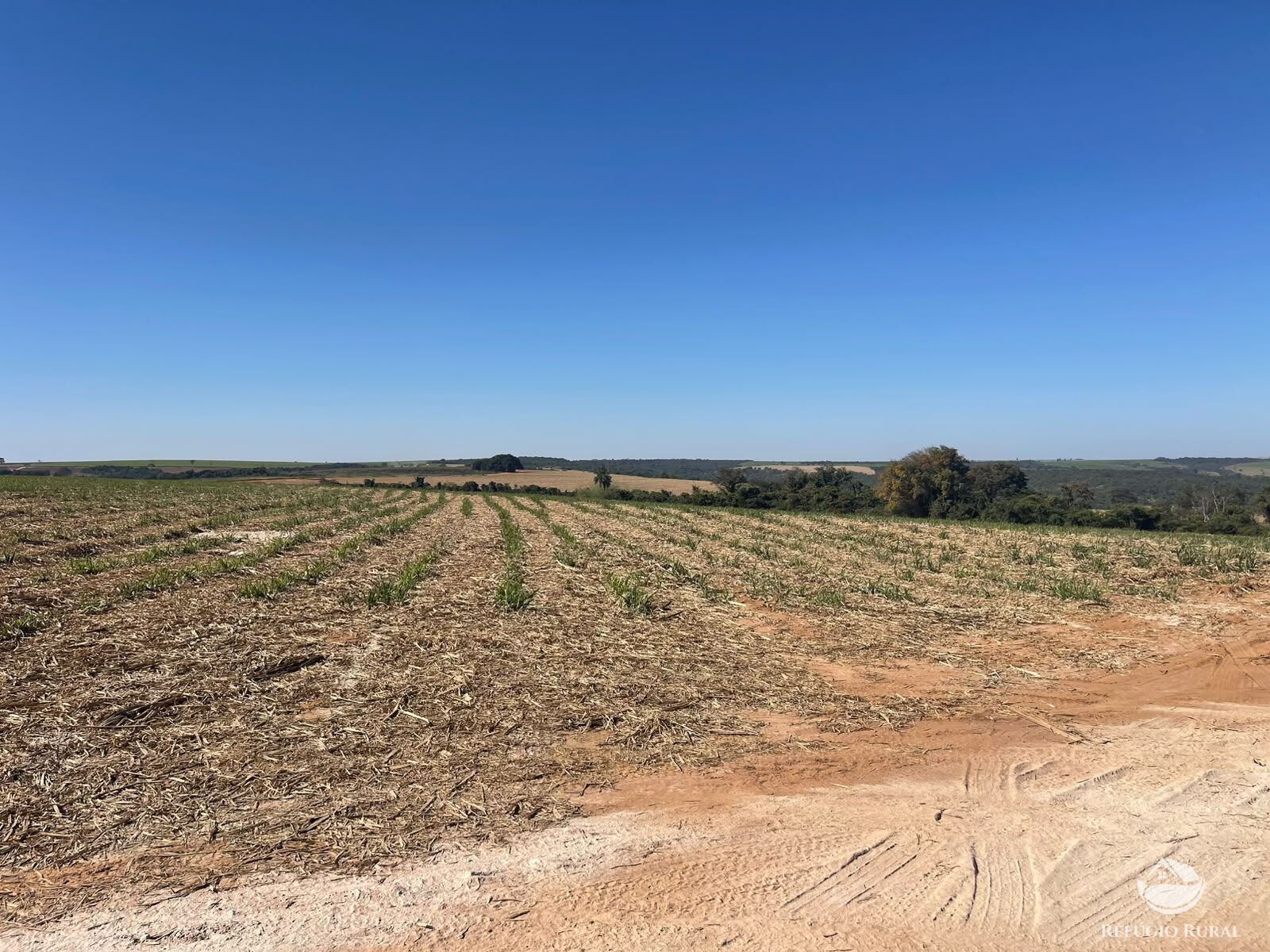 Fazenda, 447 hectares - Foto 11