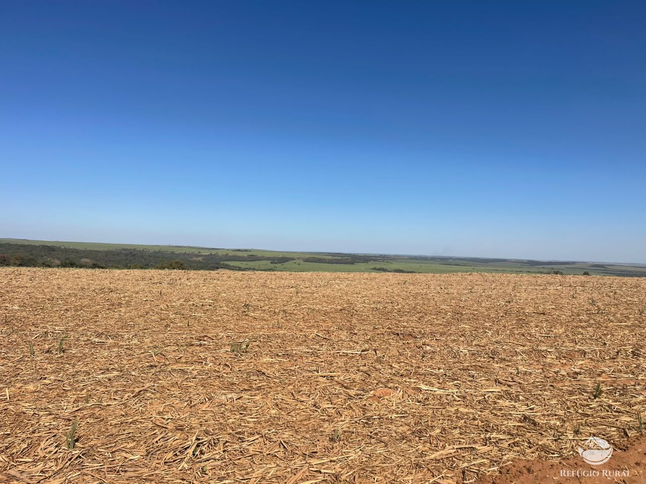 Fazenda, 447 hectares - Foto 13