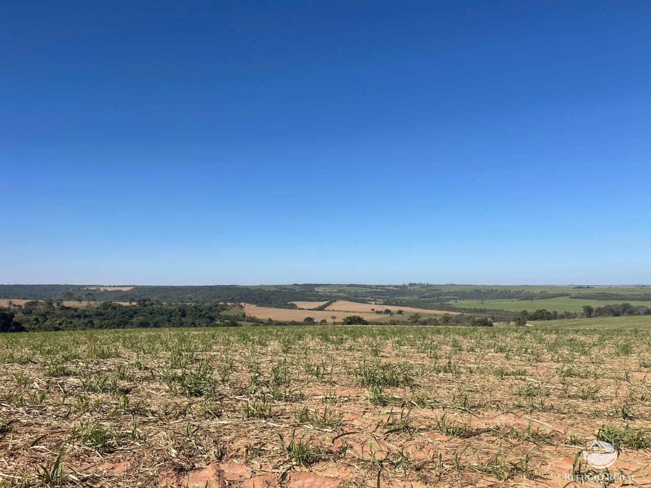 Fazenda, 447 hectares - Foto 5