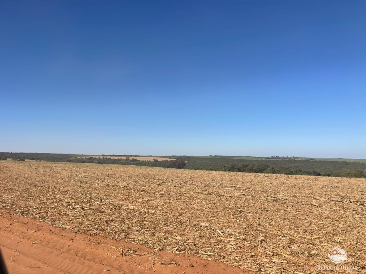 Fazenda, 447 hectares - Foto 9