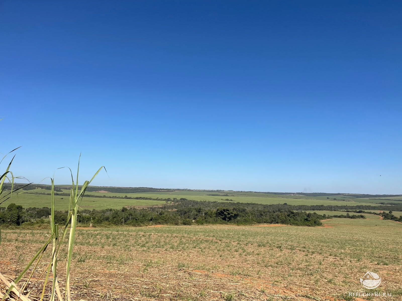Fazenda, 447 hectares - Foto 12