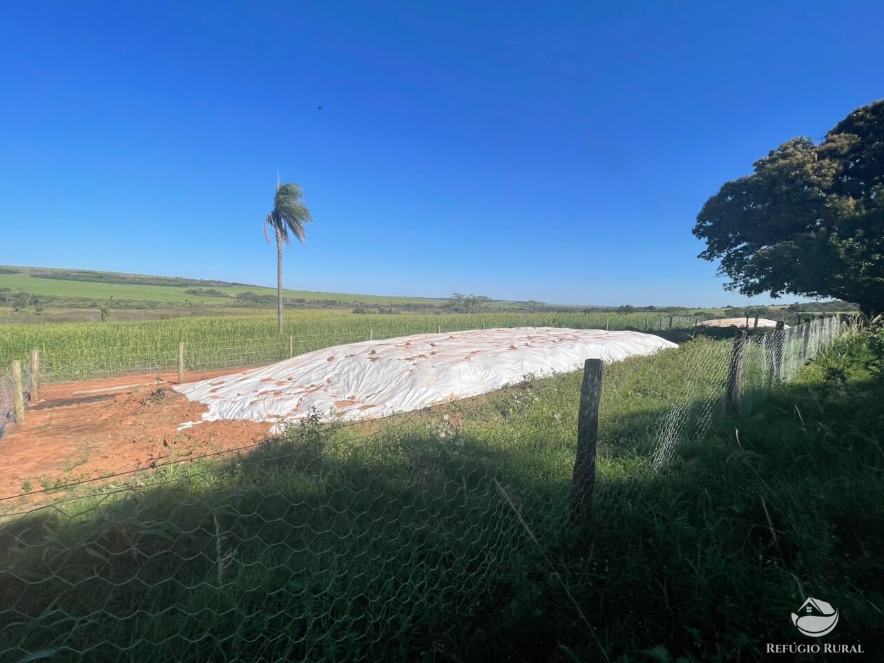 Fazenda, 447 hectares - Foto 6