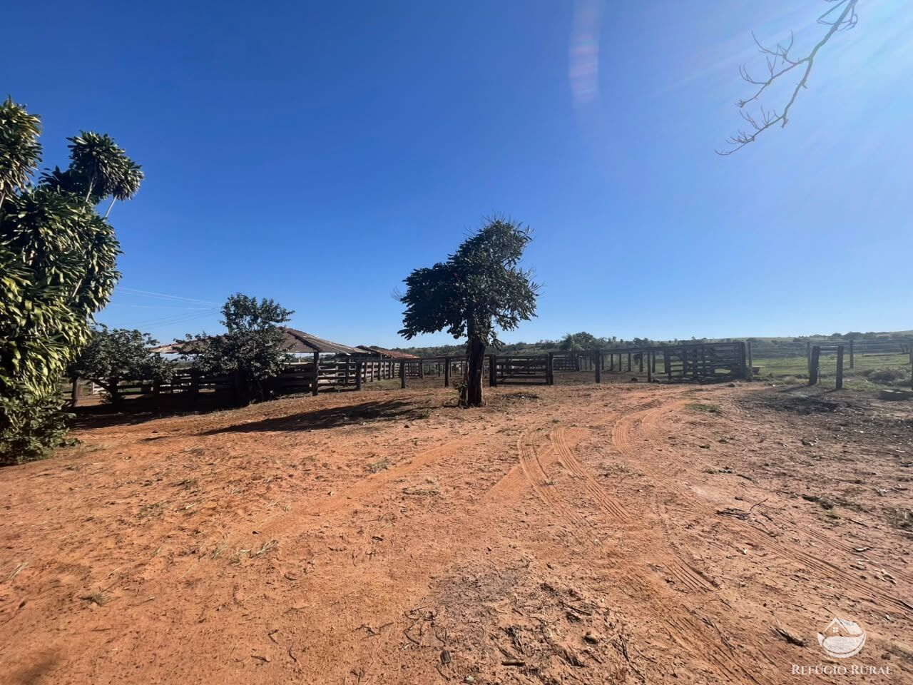 Fazenda, 447 hectares - Foto 4