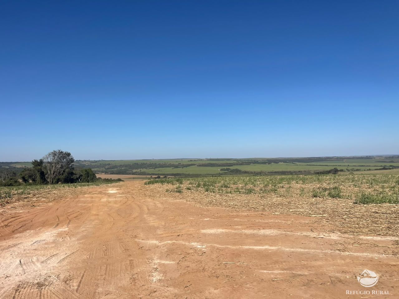 Fazenda, 447 hectares - Foto 7