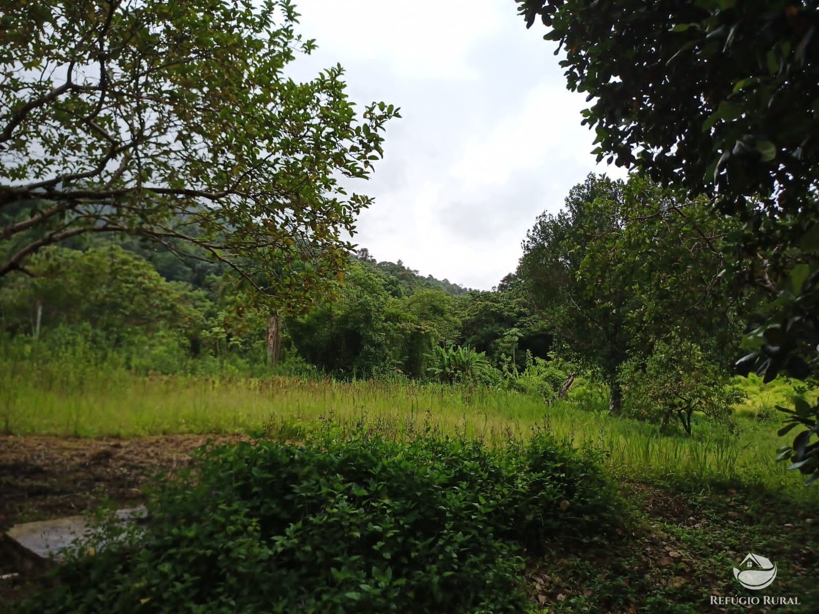 Chácara, 172 hectares - Foto 9