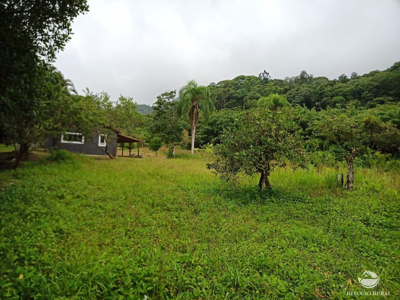 Chácara, 172 hectares - Foto 4