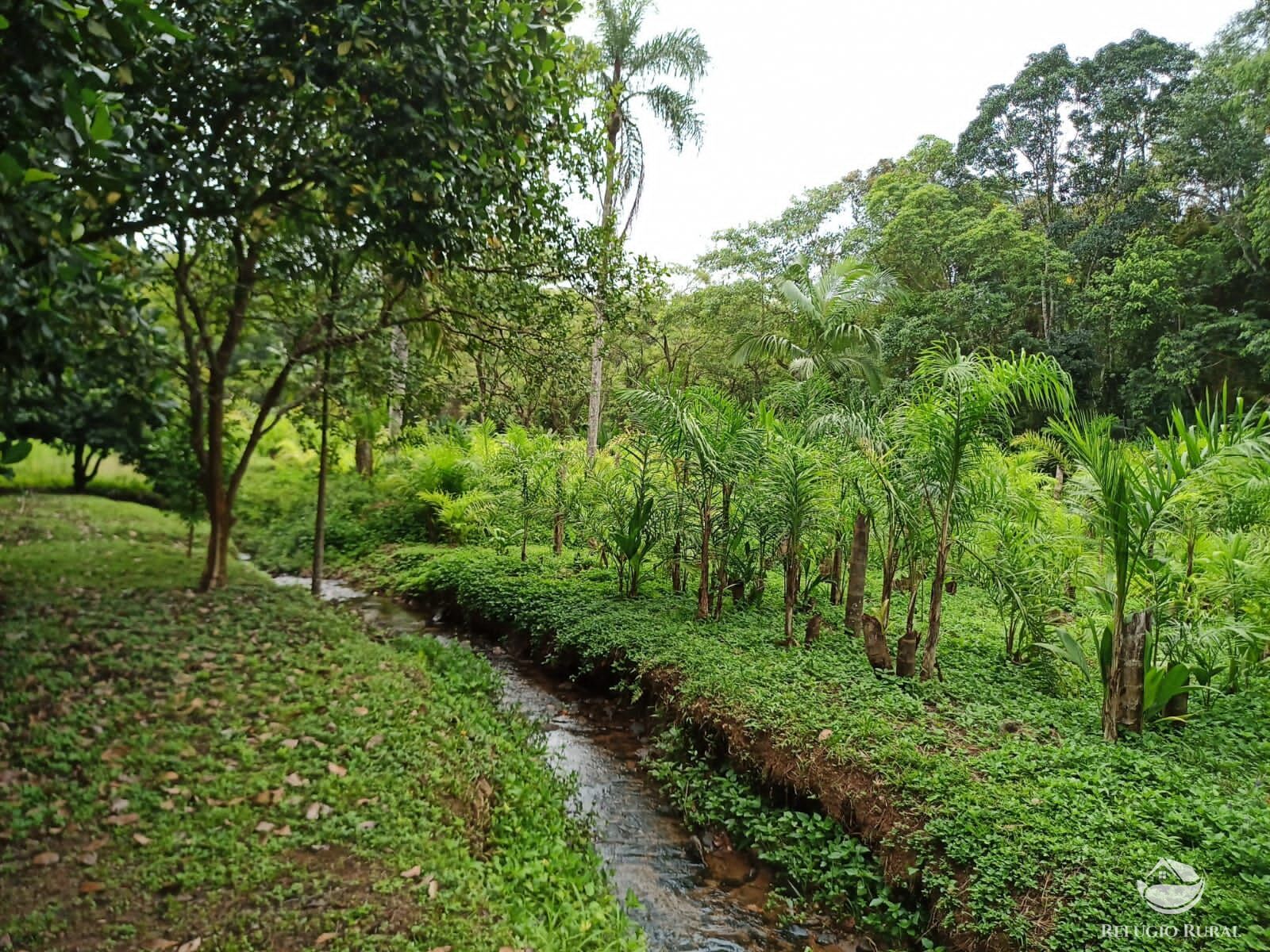 Chácara, 172 hectares - Foto 7