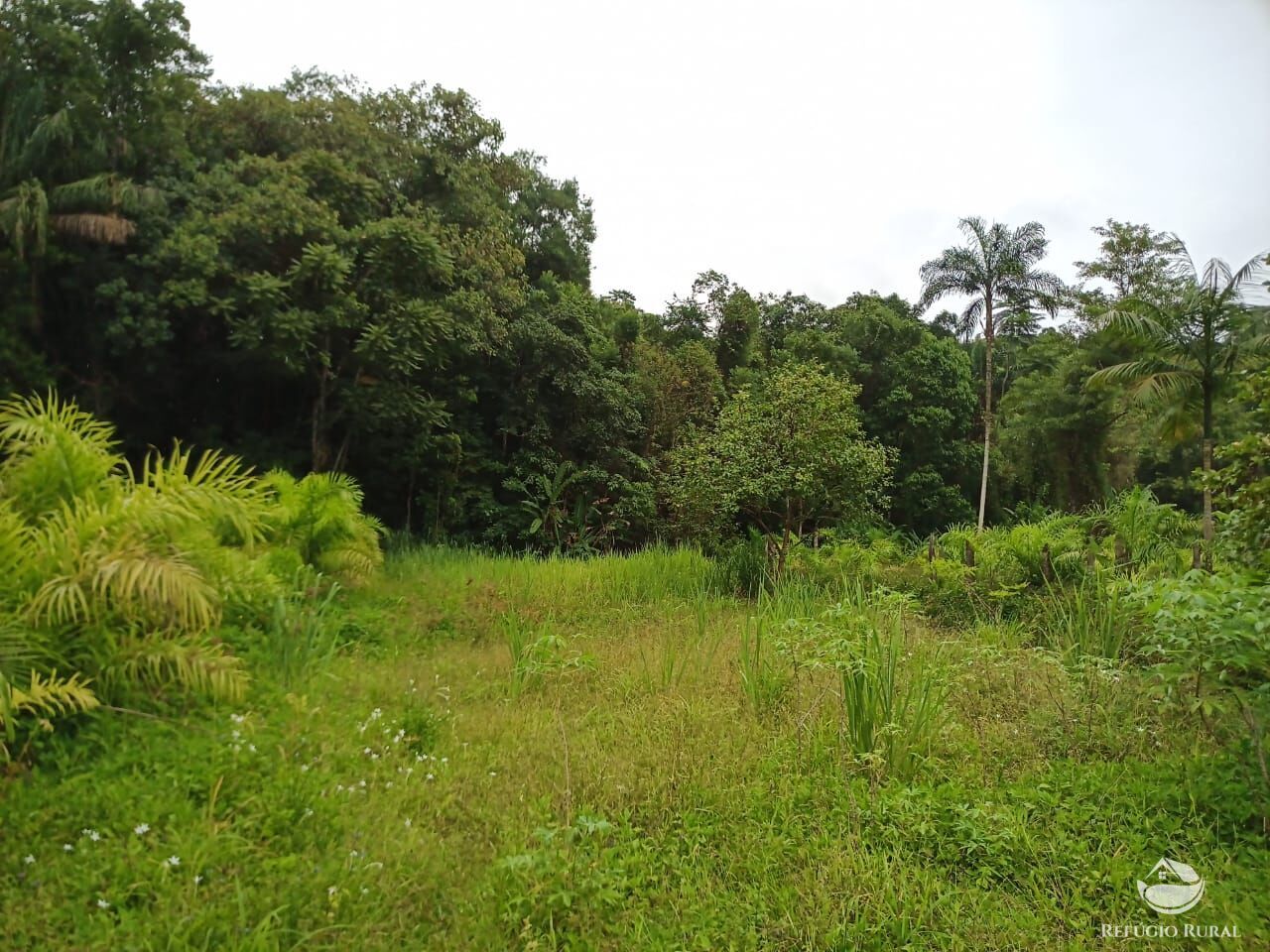 Chácara, 172 hectares - Foto 8