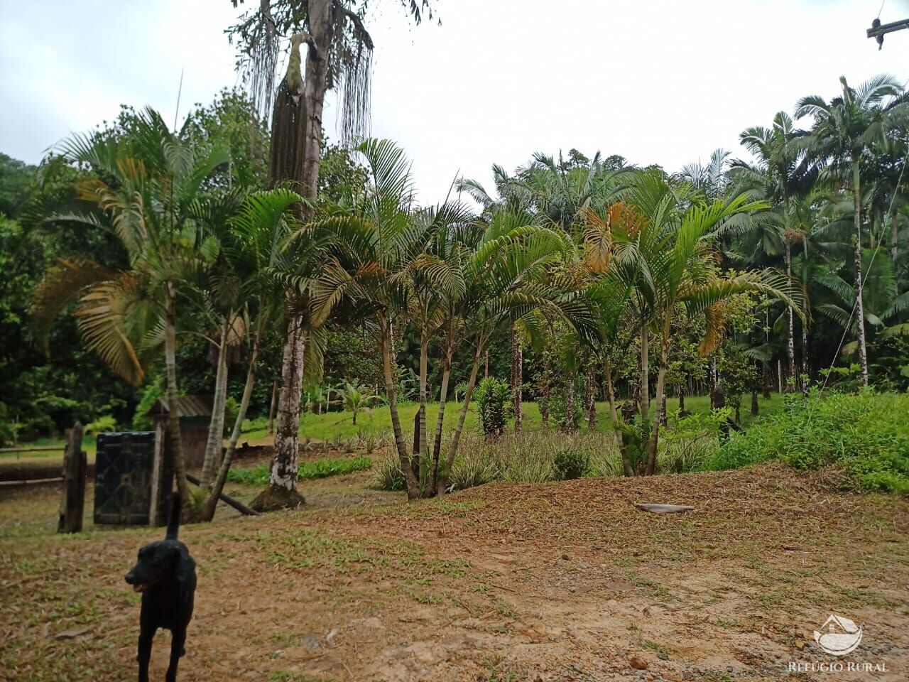 Chácara, 172 hectares - Foto 10