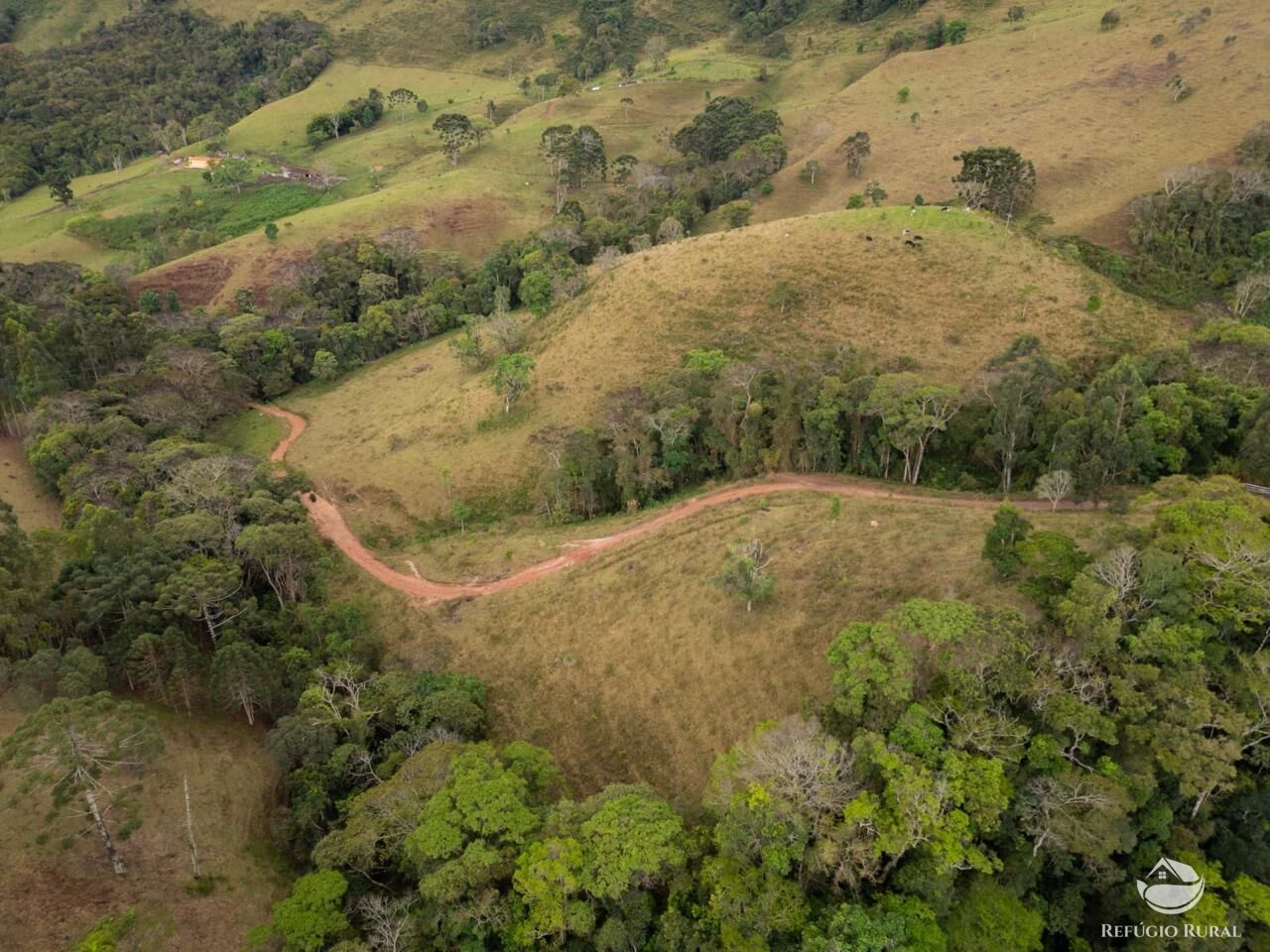 Fazenda, 18 hectares - Foto 12