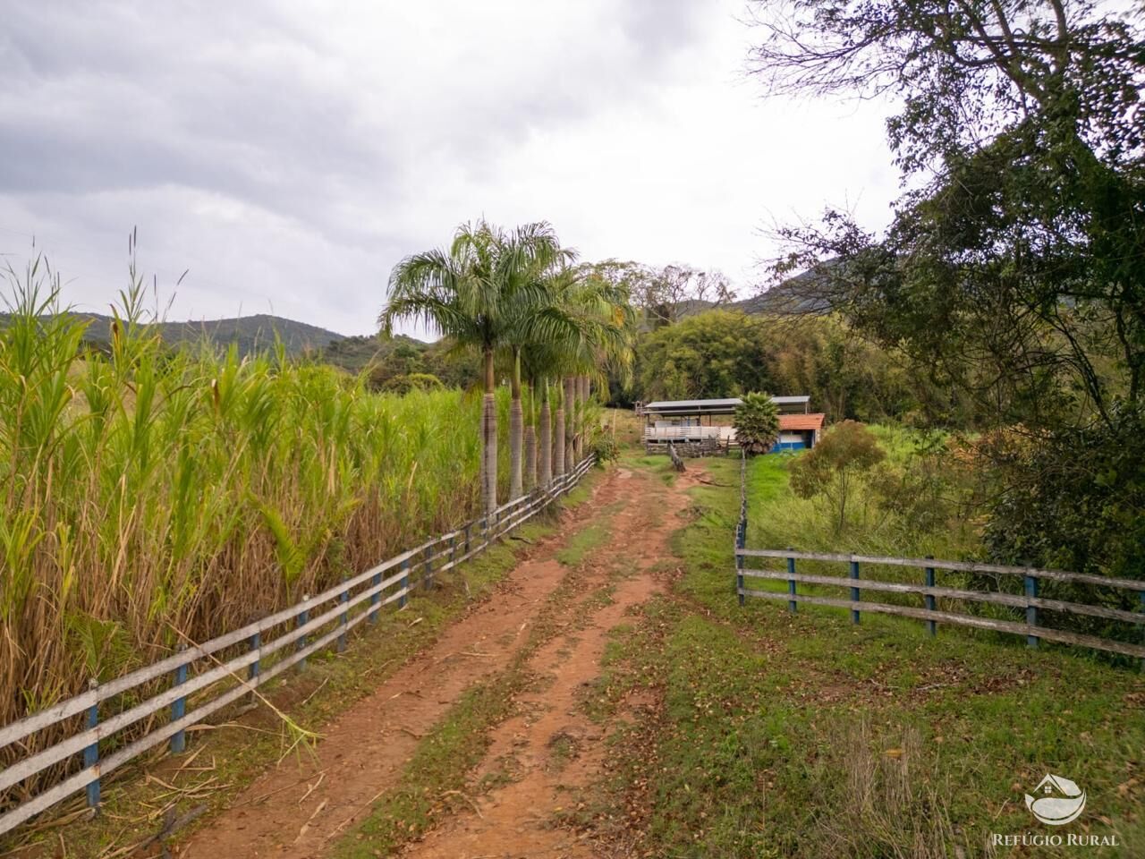 Fazenda, 18 hectares - Foto 14