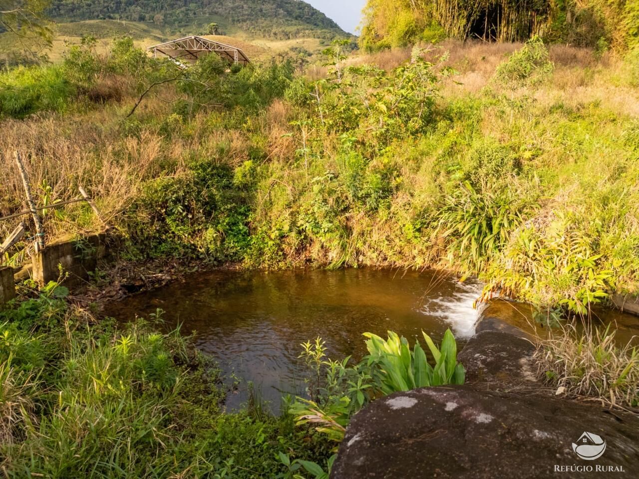 Fazenda, 18 hectares - Foto 8
