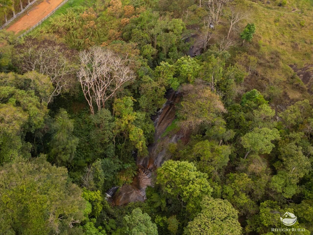 Fazenda, 18 hectares - Foto 6