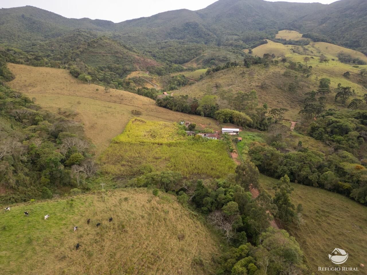 Fazenda, 18 hectares - Foto 4