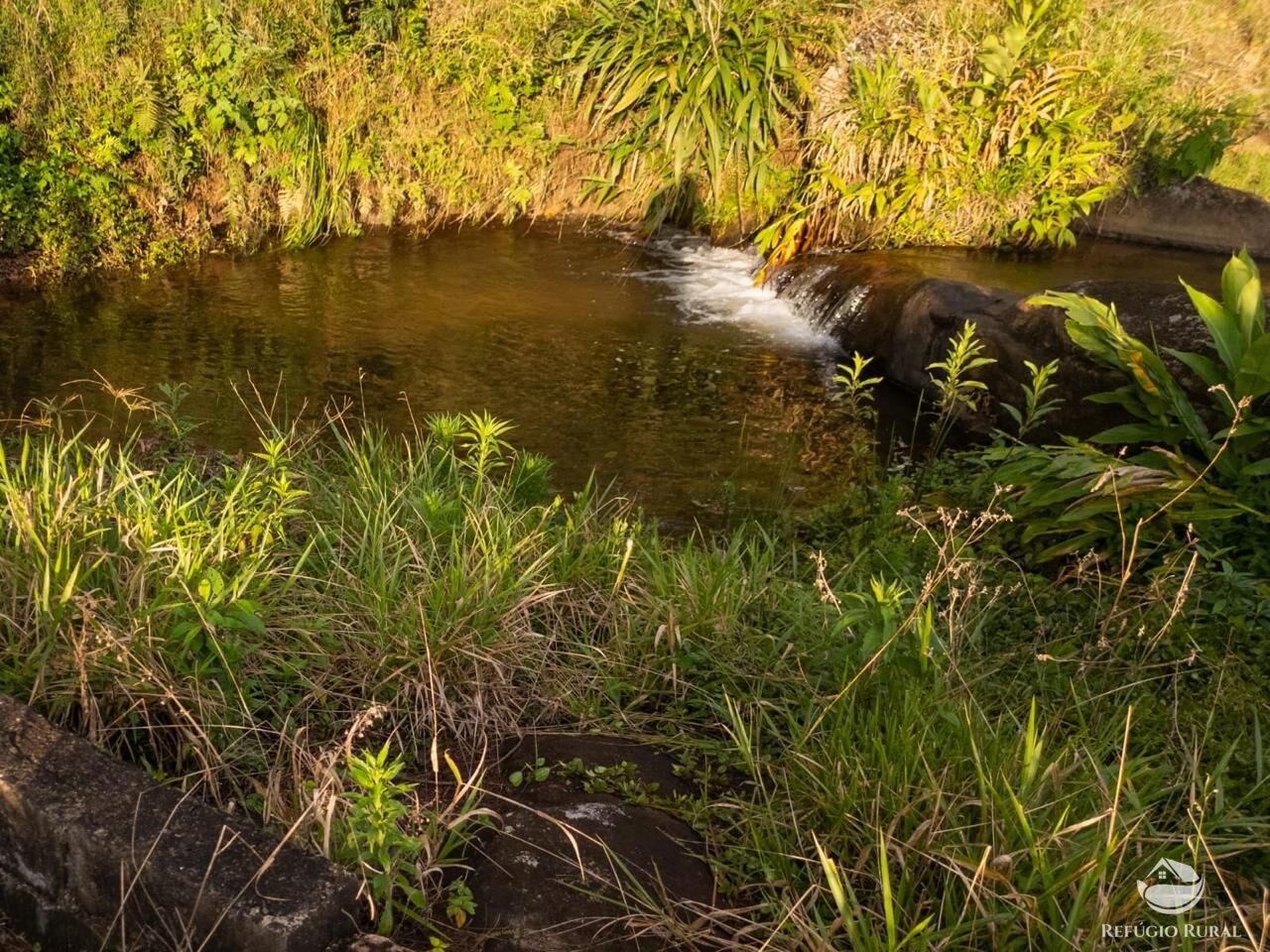 Fazenda, 18 hectares - Foto 7