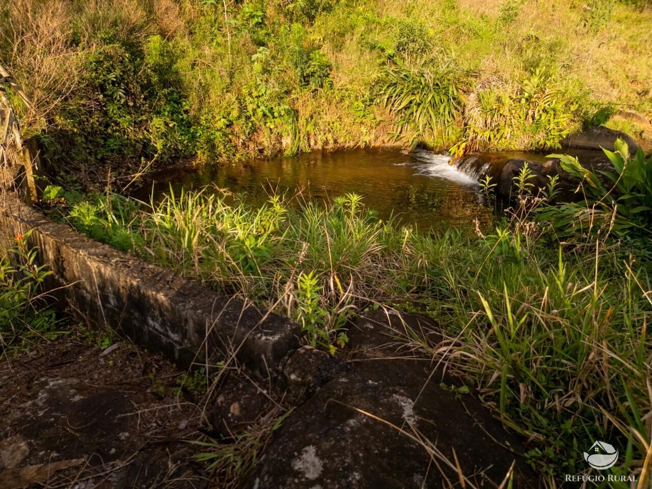 Fazenda, 18 hectares - Foto 15