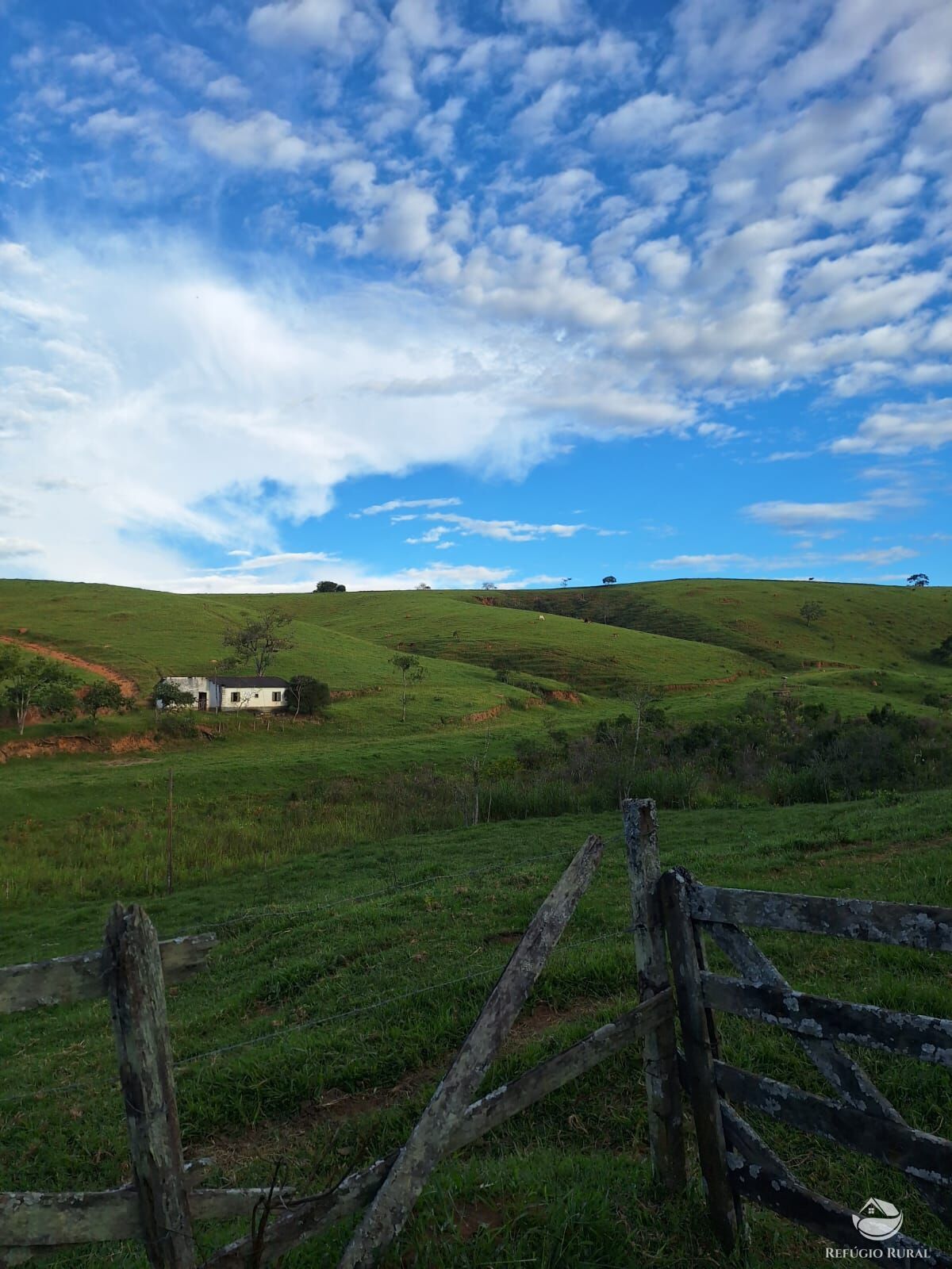 Fazenda, 242 hectares - Foto 23