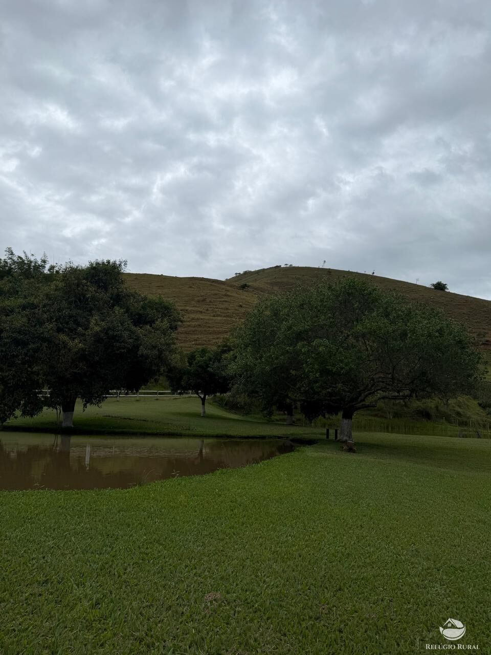 Fazenda, 242 hectares - Foto 12