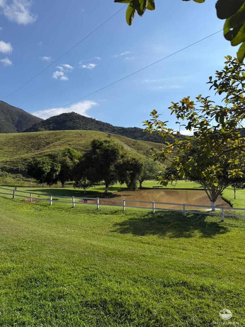 Fazenda, 242 hectares - Foto 9