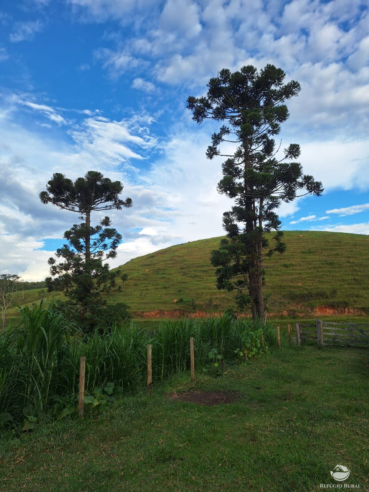 Fazenda, 242 hectares - Foto 29