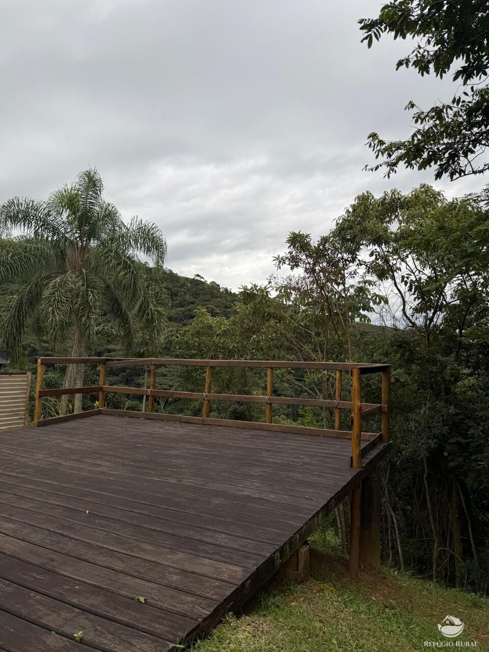 Fazenda, 242 hectares - Foto 8