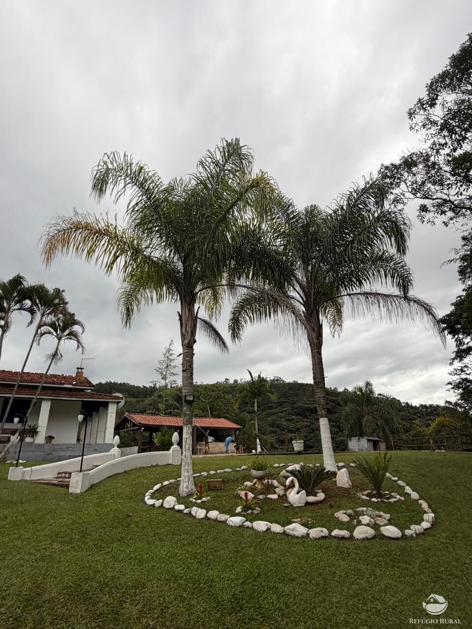 Fazenda, 242 hectares - Foto 4