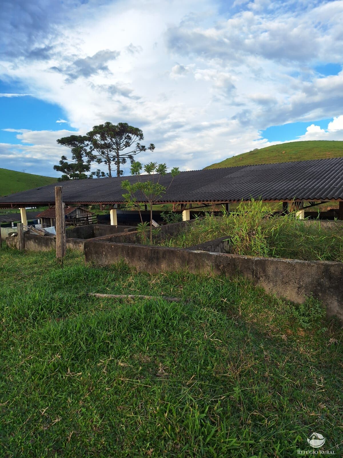 Fazenda, 242 hectares - Foto 26