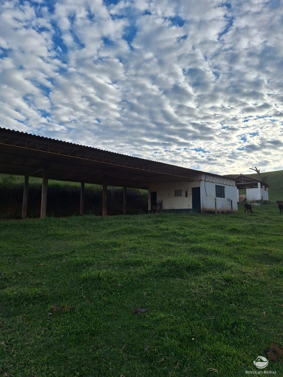 Fazenda, 242 hectares - Foto 24