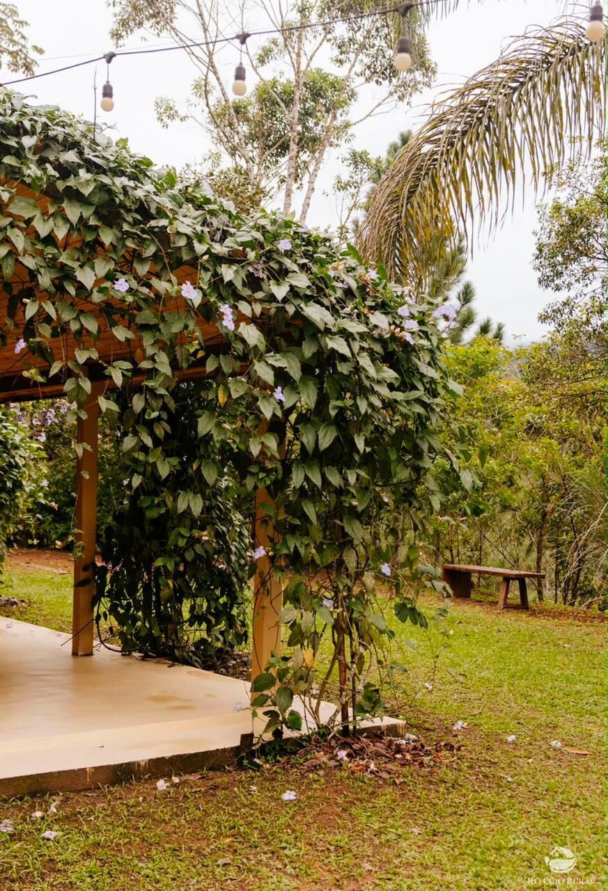 Sítio, 5 hectares - Foto 19