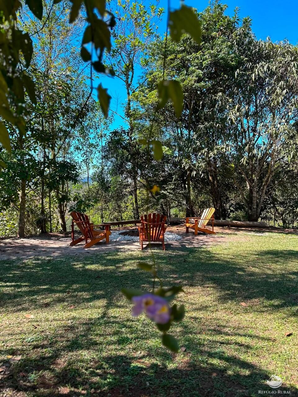 Sítio, 5 hectares - Foto 26
