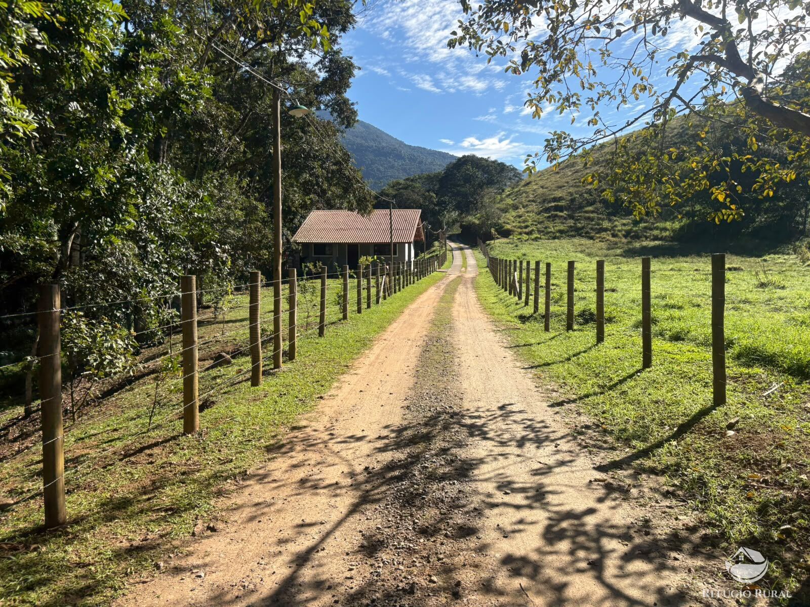 Fazenda, 201 hectares - Foto 29