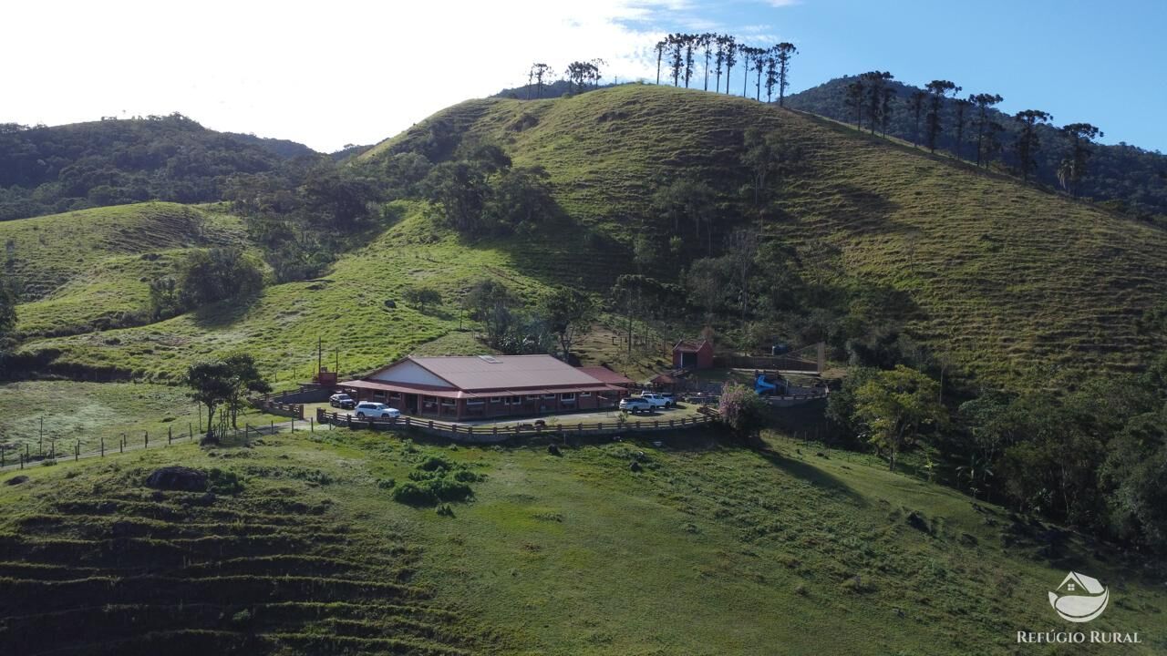 Fazenda, 201 hectares - Foto 16