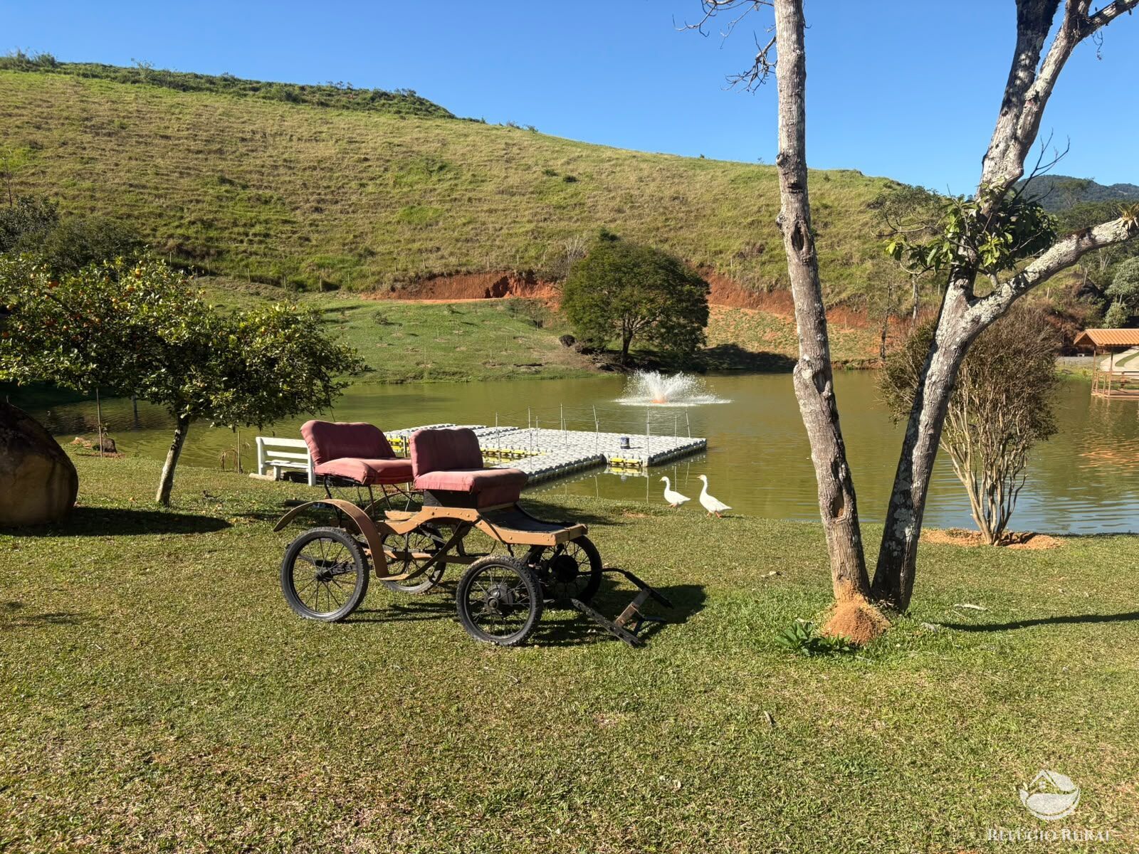Fazenda, 201 hectares - Foto 39