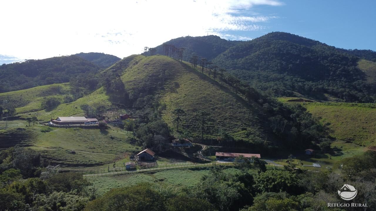 Fazenda, 201 hectares - Foto 13