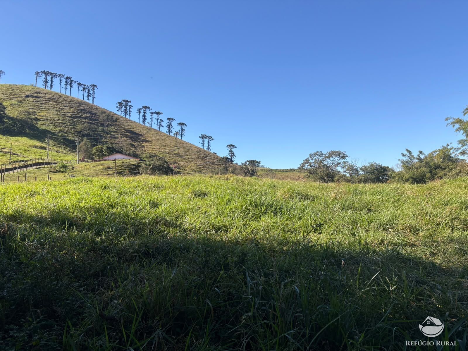 Fazenda, 201 hectares - Foto 35