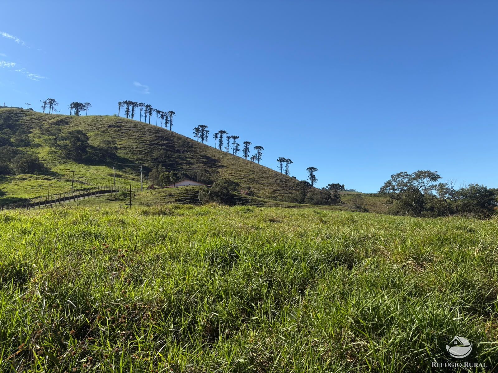 Fazenda, 201 hectares - Foto 37