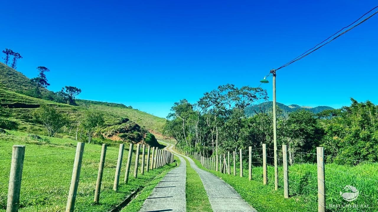 Fazenda, 201 hectares - Foto 11