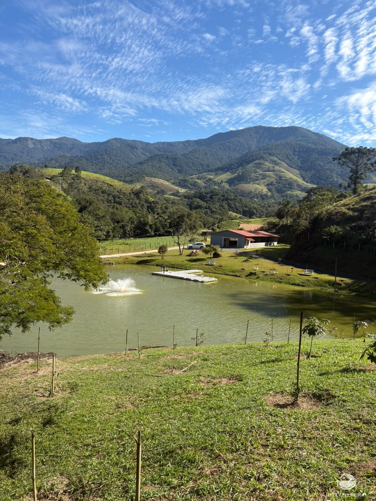 Fazenda, 201 hectares - Foto 4