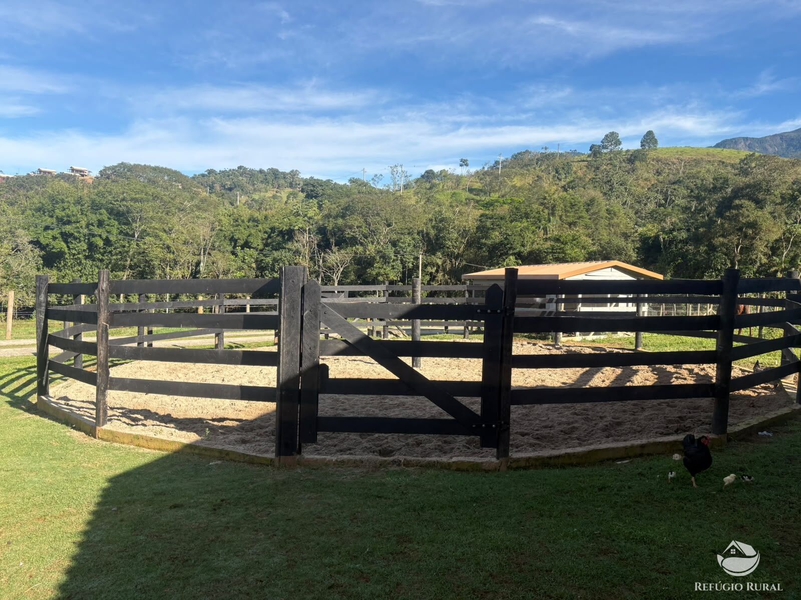 Fazenda, 201 hectares - Foto 40