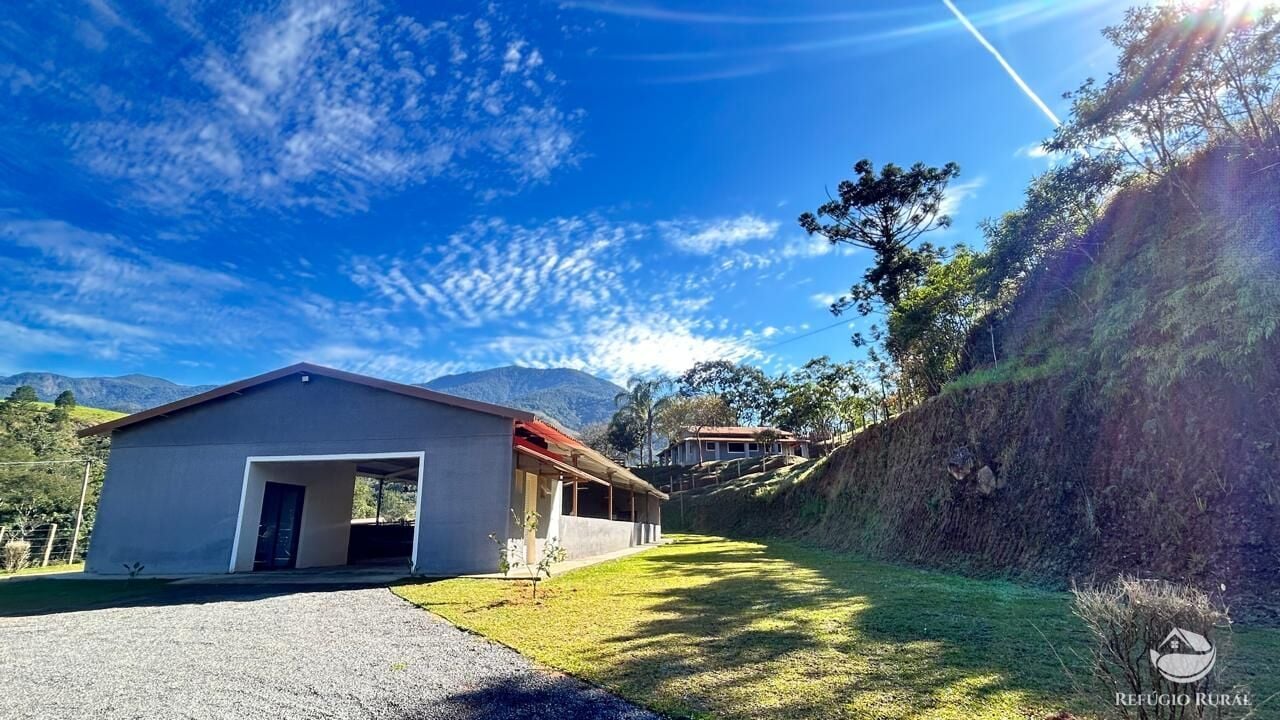 Fazenda, 201 hectares - Foto 7