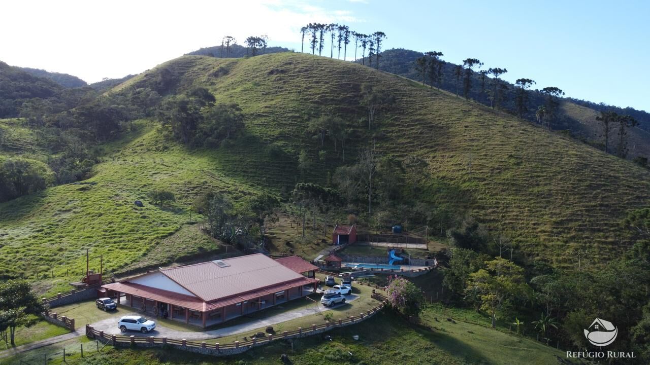 Fazenda, 201 hectares - Foto 12