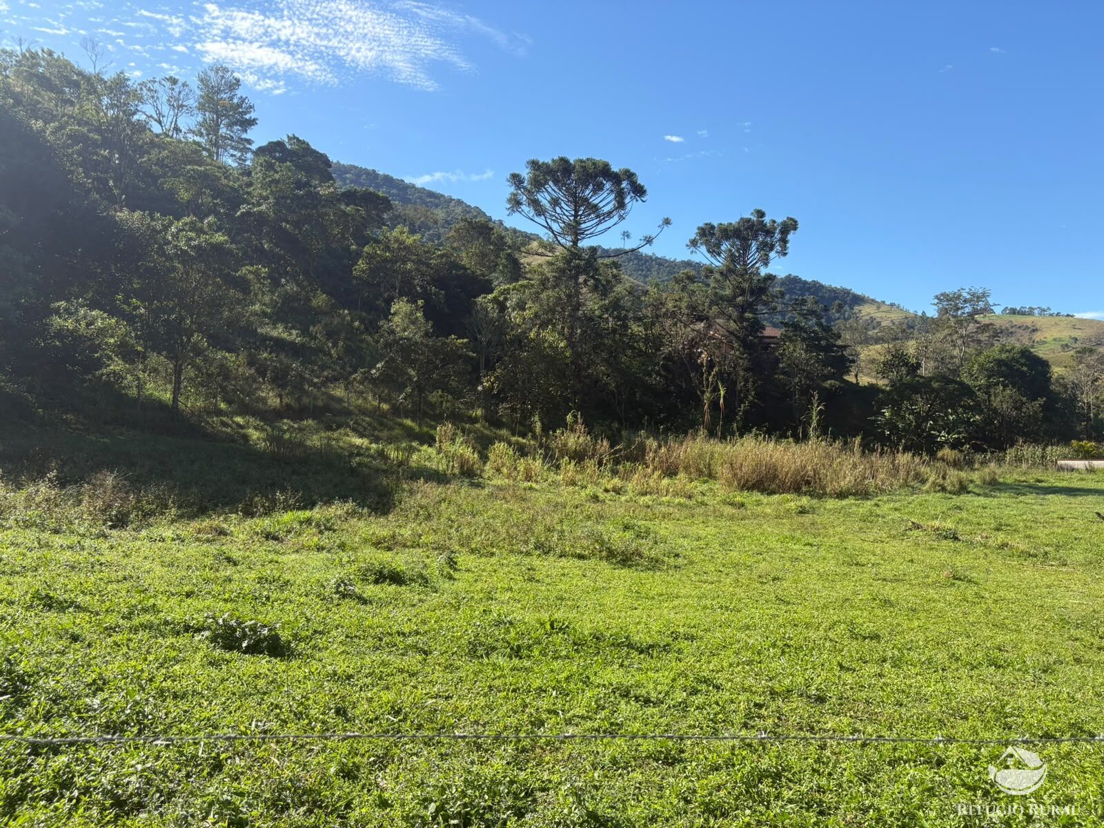 Fazenda, 201 hectares - Foto 28