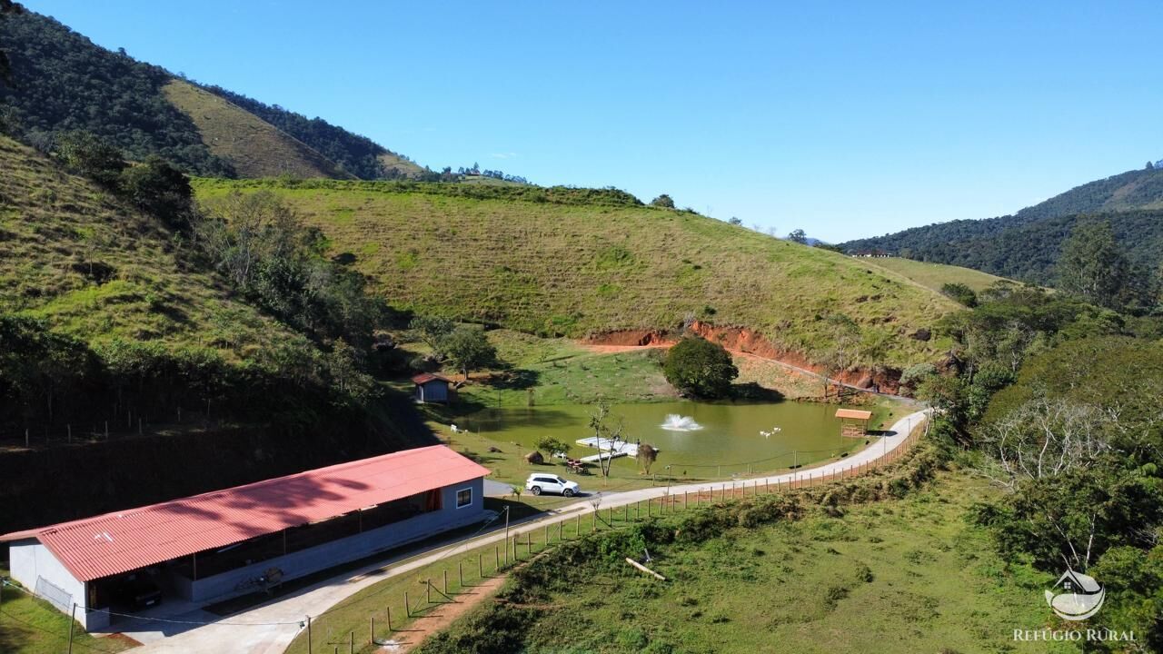 Fazenda, 201 hectares - Foto 27