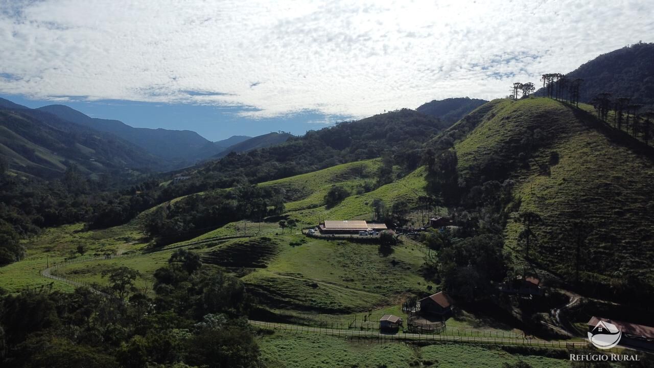 Fazenda, 201 hectares - Foto 14