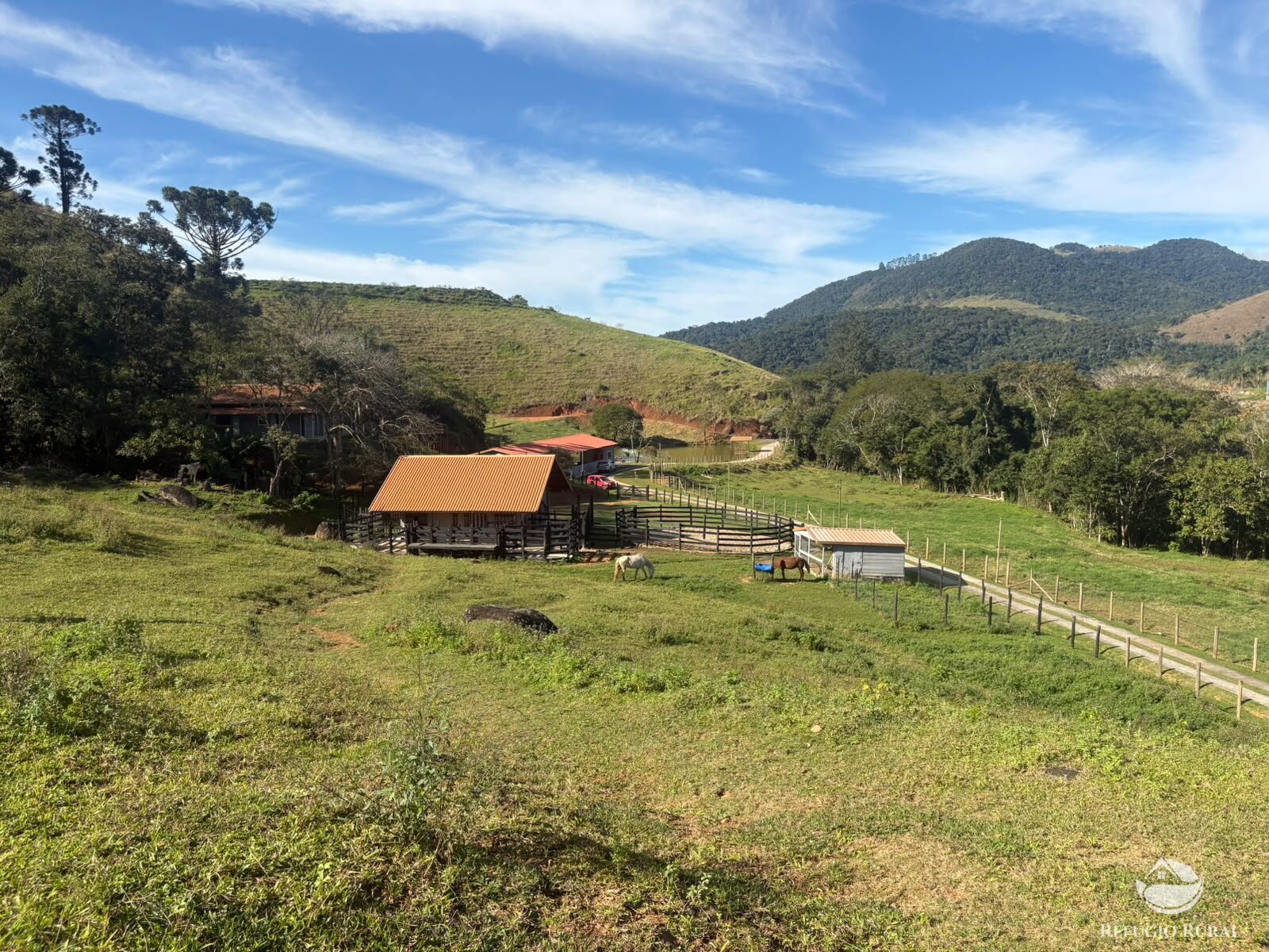 Fazenda, 201 hectares - Foto 43